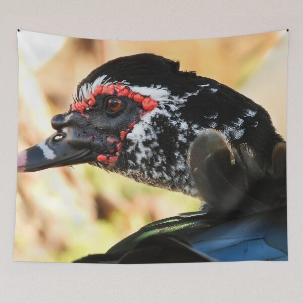 Item preview, Muscovy Duck #0006 designed and sold by Jeffrey Mask.