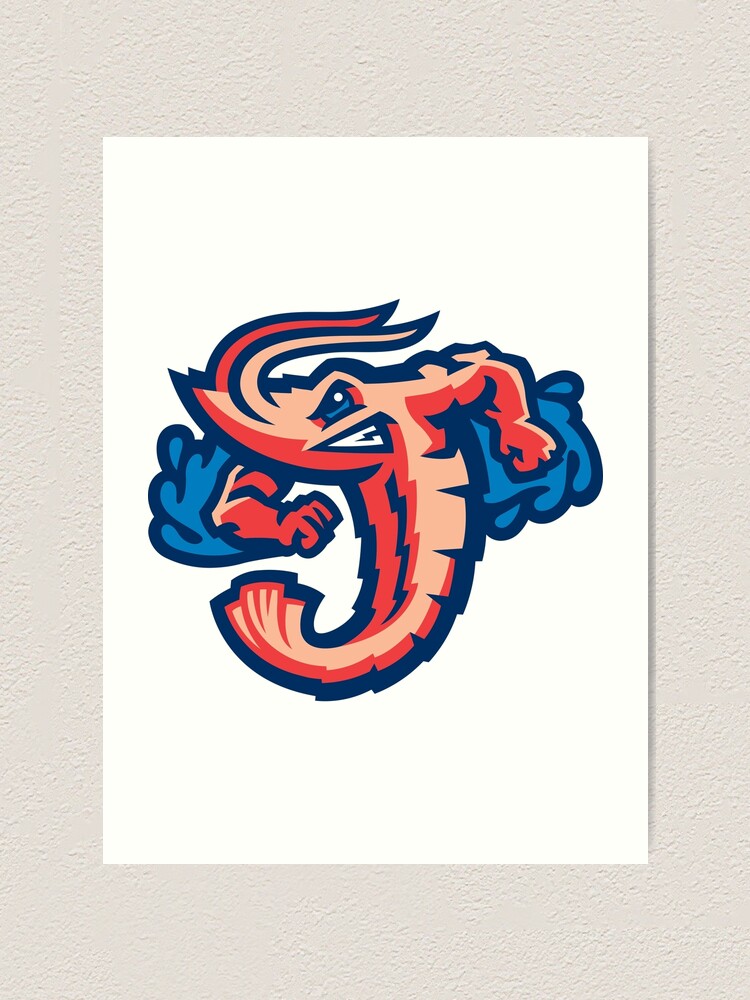 Jacksonville Jumbo Shrimp on X: Jerseys make great gifts. Which