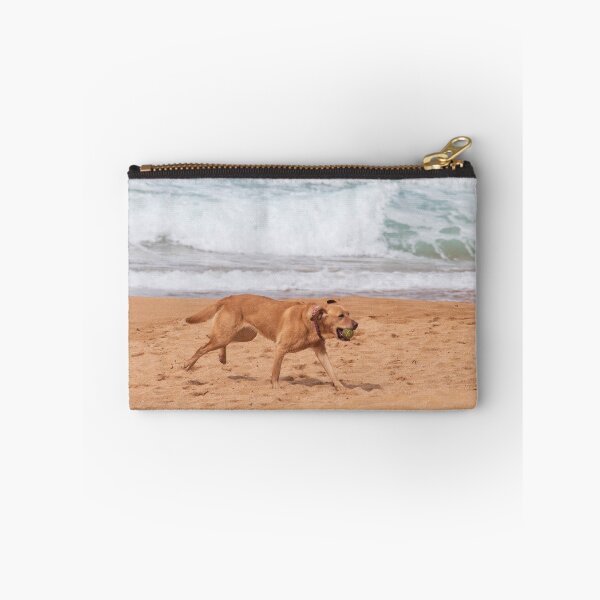 Item preview, Frankie the American Labrador Fetching her Ball NSW Central Coast of Australia designed and sold by suziq1962.