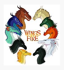 Wings of Fire - All Together Photographic Print