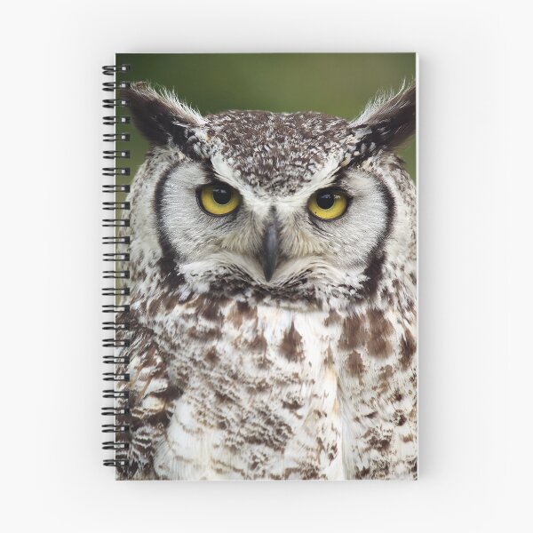 Item preview, Grumpy Owl designed and sold by mlorenz.