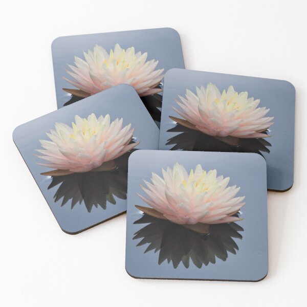 Item preview, Pink Waterlily with Reflection designed and sold by richardbryce.