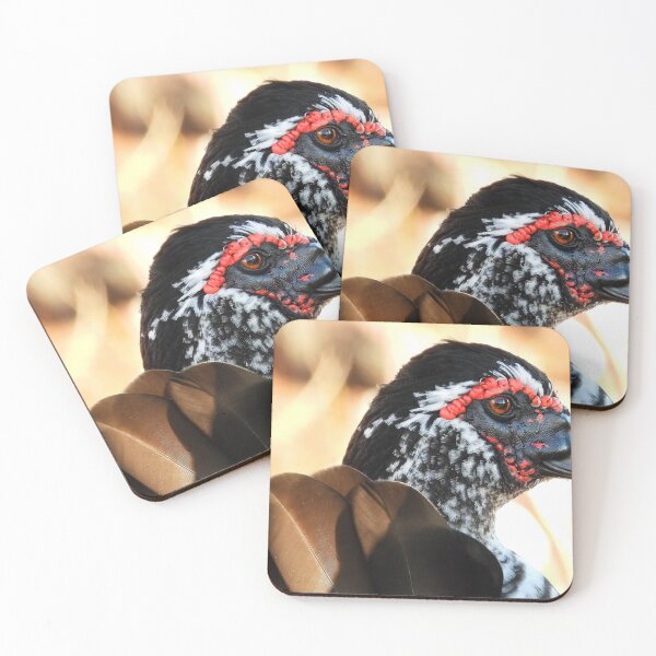 Item preview, Muscovy Duck #0006 designed and sold by Jeffrey Mask.