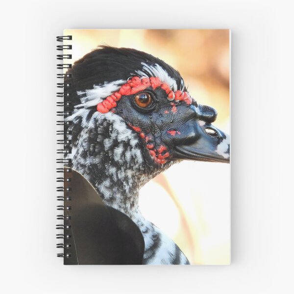 Item preview, Muscovy Duck #0006 designed and sold by Jeffrey Mask.
