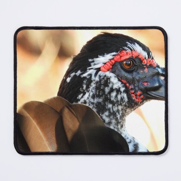 Item preview, Muscovy Duck #0006 designed and sold by Jeffrey Mask.