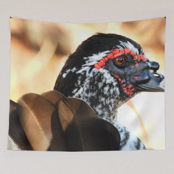 Item preview, Muscovy Duck #0006 designed and sold by Jeffrey Mask.