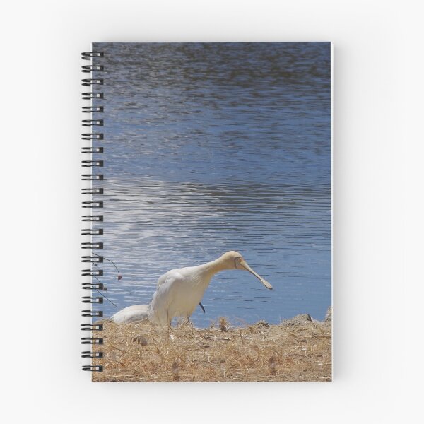 Item preview, Yellow-Billed Spoonbill designed and sold by lezvee.