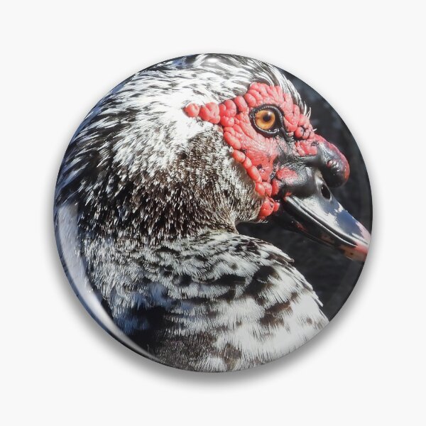 Item preview, Muscovy Duck #0007 designed and sold by Jeffrey Mask.