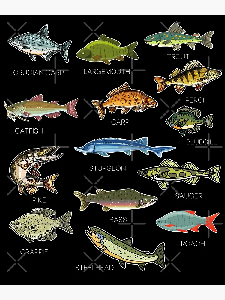 Types of Freshwater Fish Species Biology Fishing' Computer Backpack