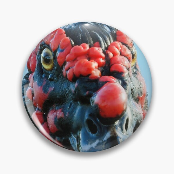 Item preview, Muscovy Duck #0008 designed and sold by Jeffrey Mask.
