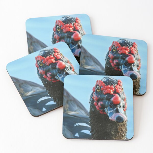 Item preview, Muscovy Duck #0008 designed and sold by Jeffrey Mask.