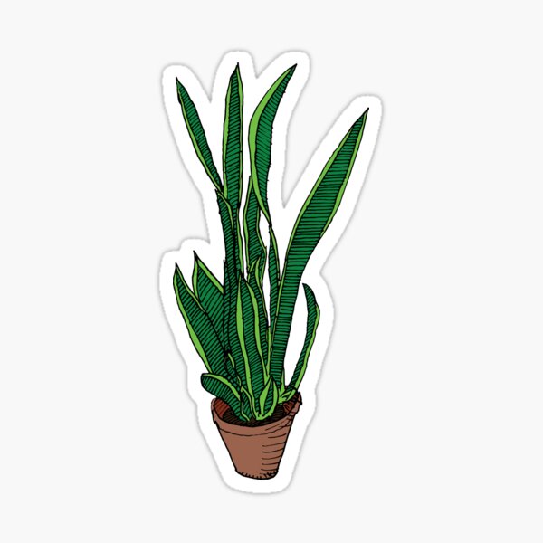 Snake Plant Sticker