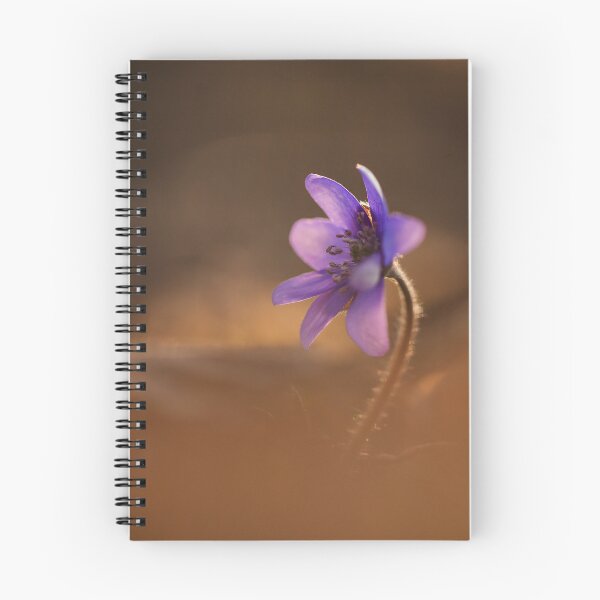 Item preview, Hepatica in the forest designed and sold by Elżbieta  Kaps.