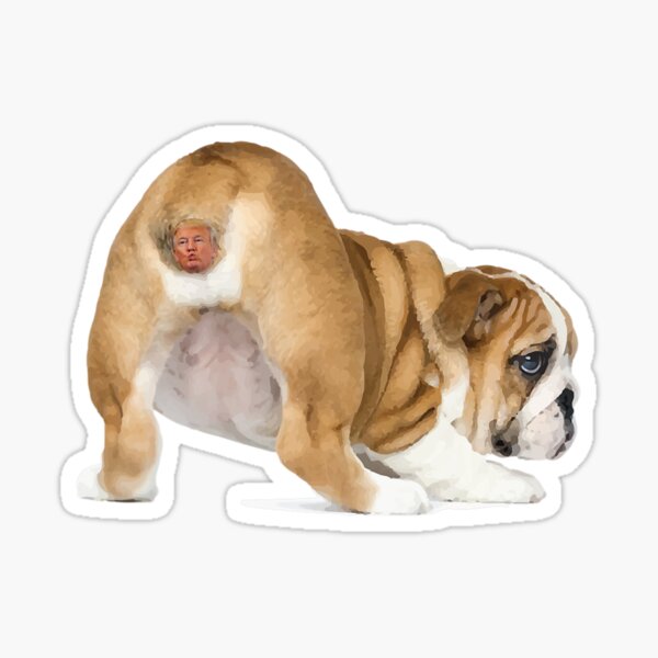 Artikel-Vorschau von Anti-Trumpf-Bulldoggen-Hundekolben-Trumpf-Gesicht, designt und verkauft von BongBongr.