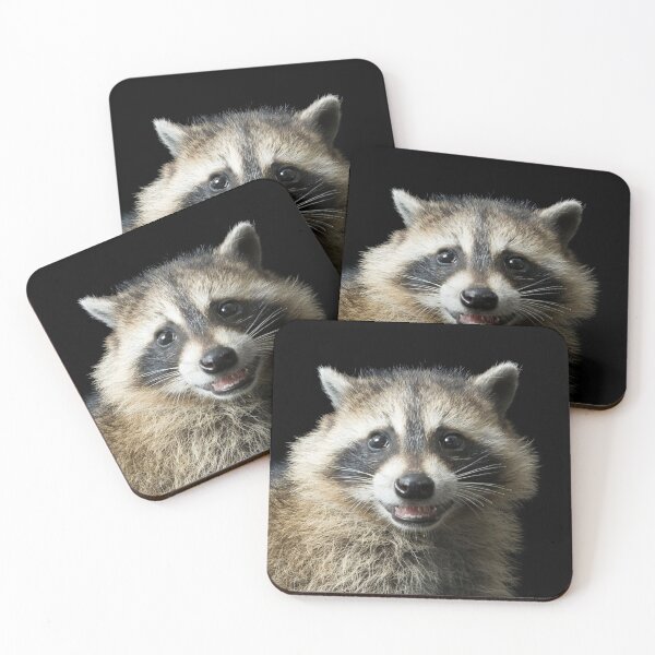 Item preview, Smiling Racoon designed and sold by DaveDango.