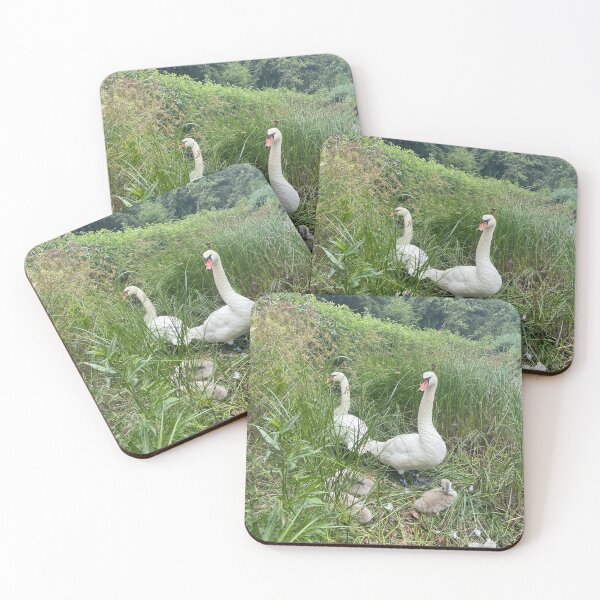 Item preview, Swan Family by the Waters • Christianshavn • 2022 designed and sold by Mortinus.