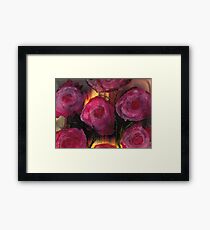 Scarlet Begonias Framed Print