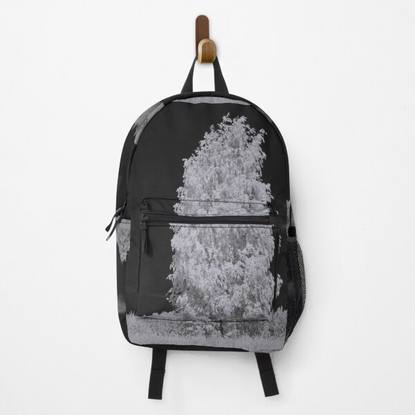 Item preview, The birch and the summer clouds designed and sold by Jouko Lehto Photography.