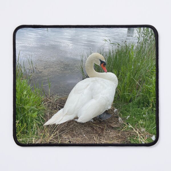 Item preview, Swan Angel by the Waters • Christianshavn • July • 2022 designed and sold by Mortinus.