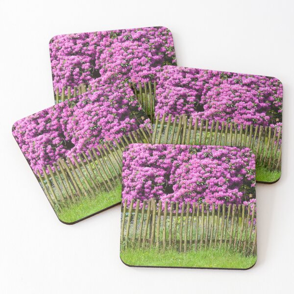 Item preview, Garden fence and rhododendron blossom, Bad Zwischenahn designed and sold by Torsten  Krüger.