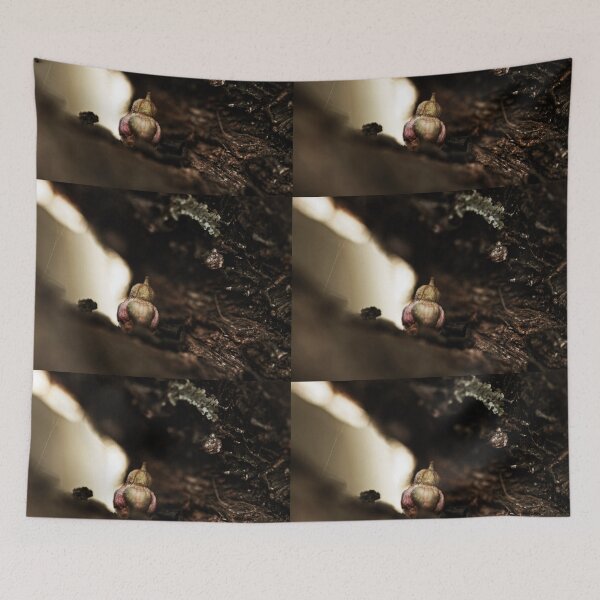 Item preview, Hidden designed and sold by Evita.