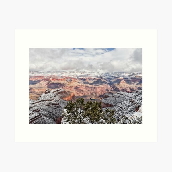 Enjoying The View Art Print