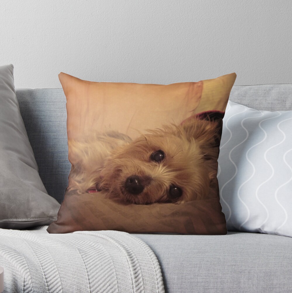 yorkie shaped pillow