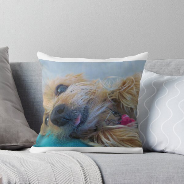 Item preview, Teacup Yorkie designed and sold by OnTheRoadAgain.