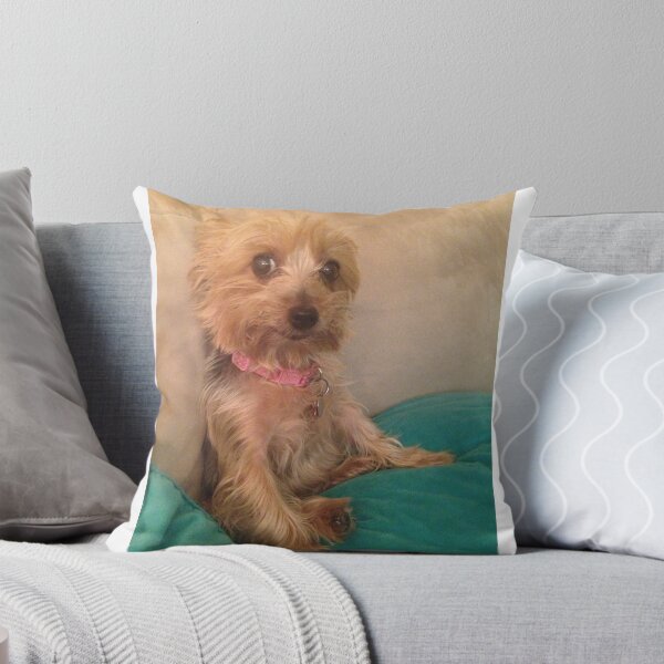 Item preview, Teacup Yorkie designed and sold by OnTheRoadAgain.