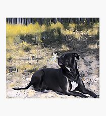 Stop and Smell the Orange Blossoms Photographic Print