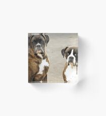 Luthien & Arwen -Boxers Dogs Series- Acrylic Block