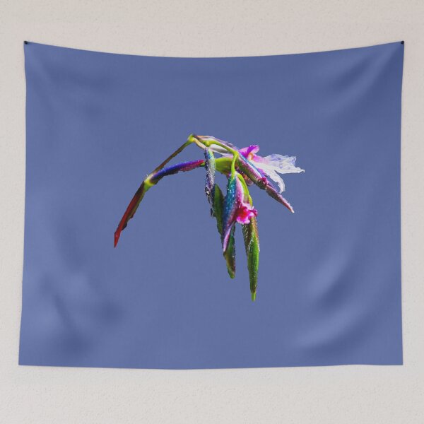Item preview, Natures colours designed and sold by indiafrankk.
