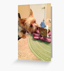 Teacup Yorkie Greeting Card