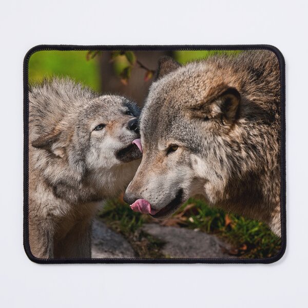 Item preview, Gray Wolves designed and sold by Michael Cummings.