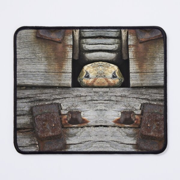 Item preview, Trapstone Peeper designed and sold by Yampimon.