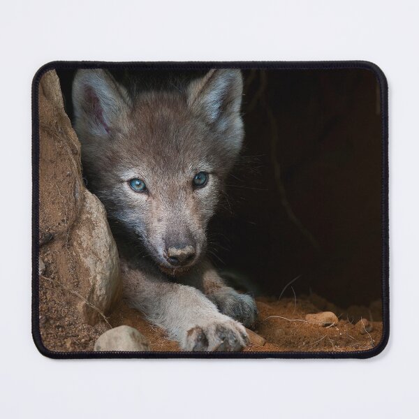 Item preview, Young Gray Wolf designed and sold by Michael Cummings.