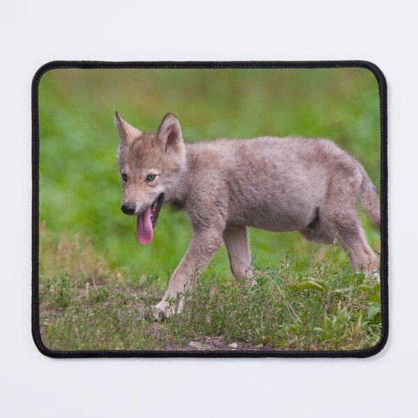 Item preview, Timber Wolf Pup designed and sold by Michael Cummings.