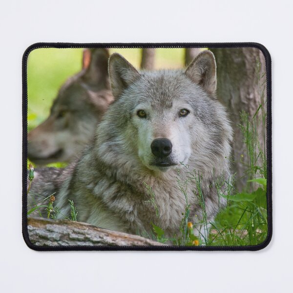 Item preview, Timber Wolf designed and sold by Michael Cummings.