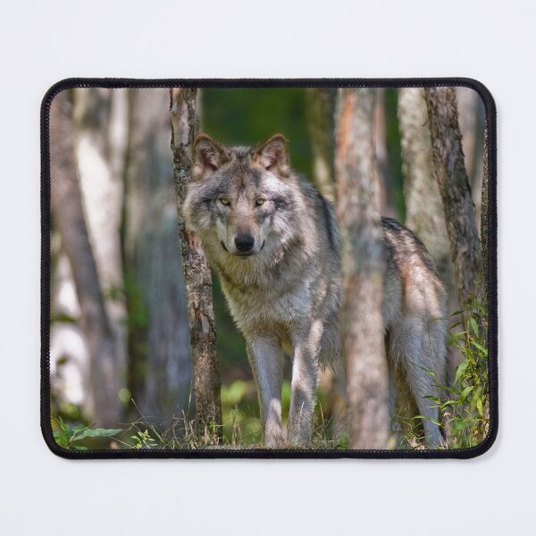 Item preview, Timber Wolf designed and sold by Michael Cummings.