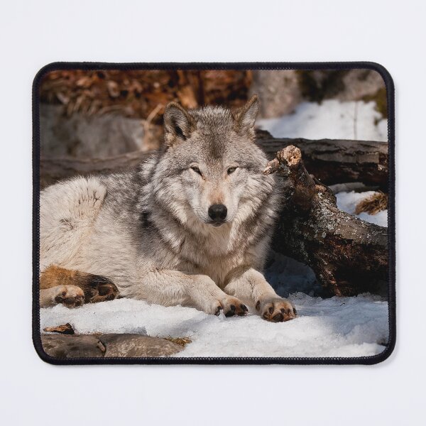 Item preview, Timber Wolf designed and sold by Michael Cummings.