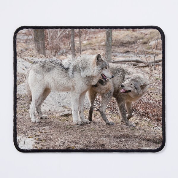 Item preview, Gray Wolf designed and sold by Michael Cummings.