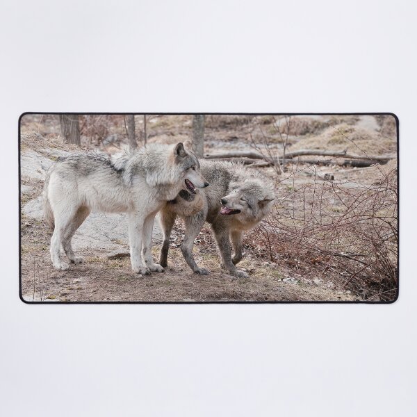 Item preview, Gray Wolf designed and sold by Michael Cummings.