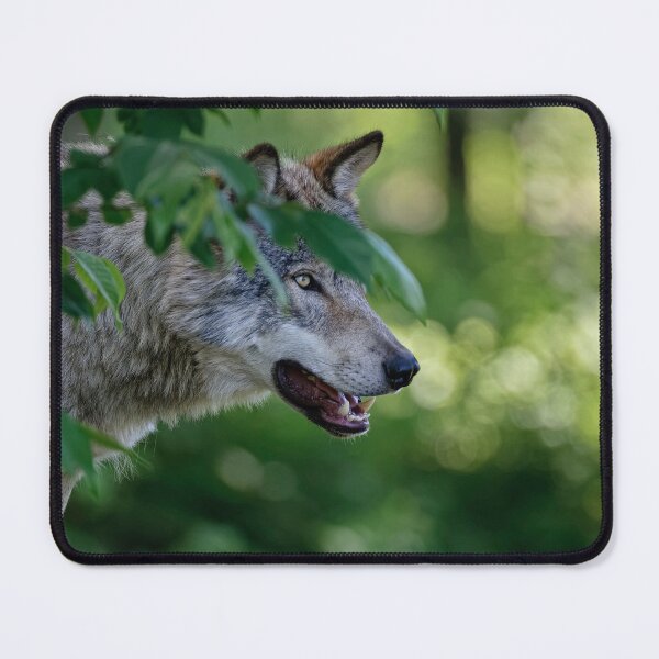 Item preview, Timber Wolf designed and sold by Michael Cummings.