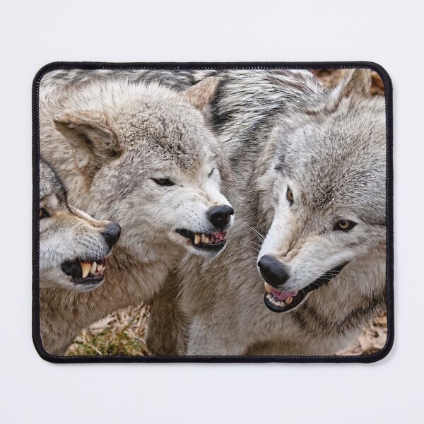 Item preview, Timber Wolves designed and sold by Michael Cummings.