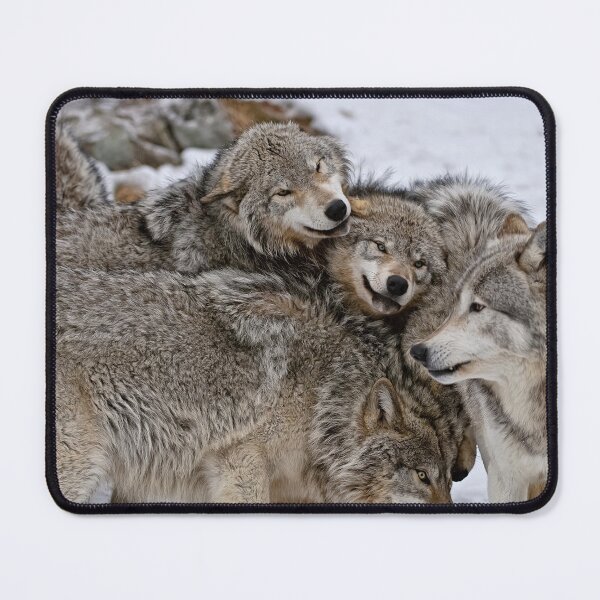 Item preview, All In The Family designed and sold by Michael Cummings.