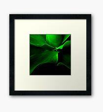 The Aloe wave Framed Print