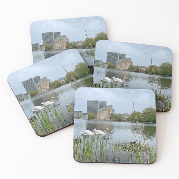 Item preview, Swans • Coot • Planetarium • 2022 designed and sold by Mortinus.