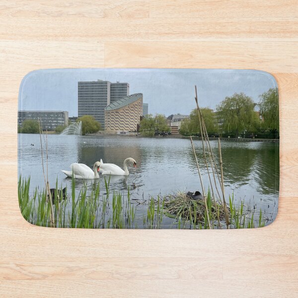 Item preview, Swans • Coot • Planetarium • 2022 designed and sold by Mortinus.