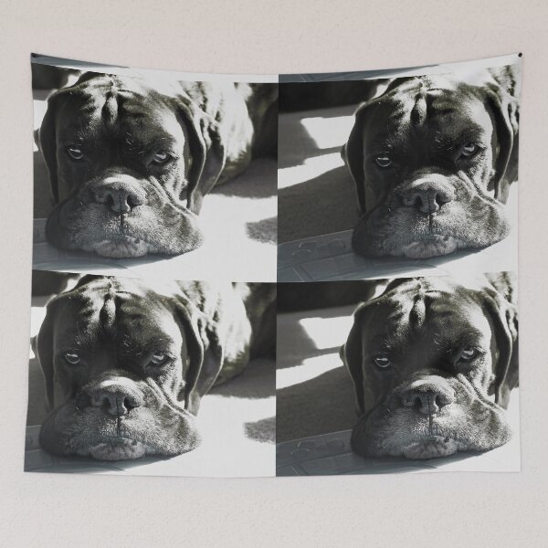 Item preview, Here We  Go Again designed and sold by Evita.
