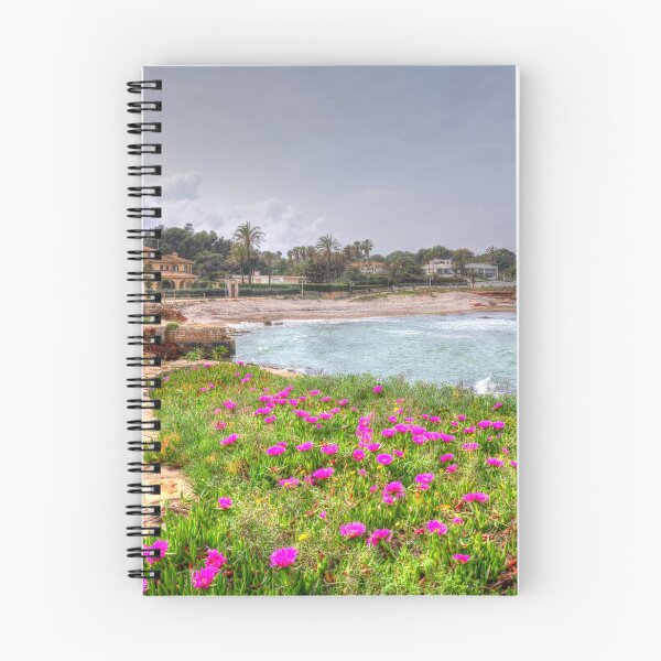 Item preview, Punta Negra Denia Alicante Spain Colourful Pink Flowers designed and sold by acceleratorhams.